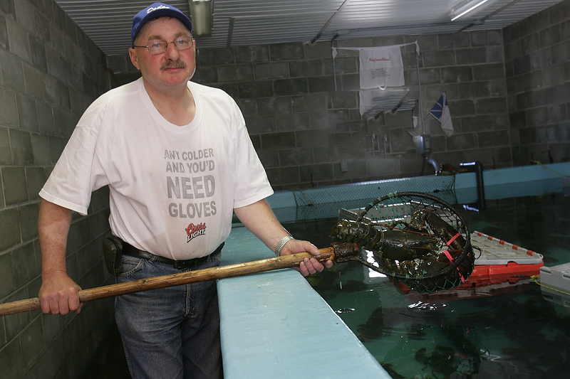 Lobster from the Pool